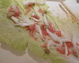 簡単＆時短★白菜と挽肉の重ね蒸し煮作り方1写真