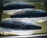 サンマの棒寿司作り方5写真