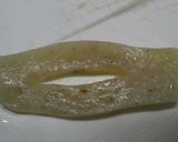 手綱こんにゃく入り肉じゃが作り方2写真