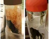 我が家の味噌汁作り方3写真