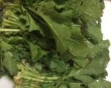 †おばあちゃんのからし菜漬け†作り方1写真
