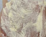 鶏胸肉で柔らかーいヨダレどり😋作り方1写真