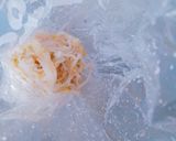 ＊サラダチキンともやしの梅海苔サラダ＊作り方2写真
