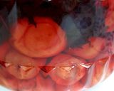 しょっぱい梅干しの作り方☆塩漬けの仕方作り方46写真