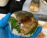 焼き鯖おにぎり作り方11写真