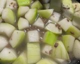 とろとろ冬瓜とひき肉のカレー煮作り方5写真