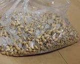 麦麹で　もろみ味噌2013作り方5写真