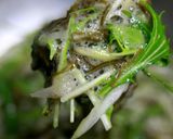 しゃきしゃき昆布サラダ作り方16写真