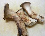 永谷園・松茸のお吸い物で松茸（？）ご飯作り方2写真