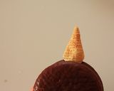 節分★簡単♪鬼チョコスイーツ♪作り方6写真