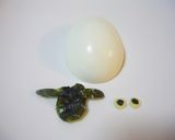 ゆで卵で☆ひょっこりショーン作り方1写真