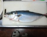 ツバスの刺身作り方1写真