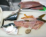 ツバスの刺身作り方2写真