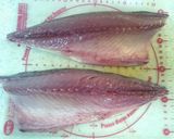 元魚屋が教える！絶品…俺流の自家製〆鯖作り方1写真