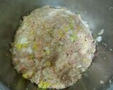 キムチの素で　煮込みねぎバーグ作り方4写真