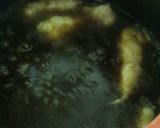 さっくりふわふわのフィッシュ＆チップス作り方4写真