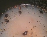 『ﾀﾞｲｴｯﾄの味方ごはん』作り方3写真