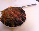 天然ホタテ貝のパン粉焼き作り方2写真