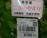 大根セロリ巻と作り方1写真