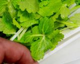 大根セロリ巻と作り方13写真