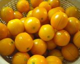 金柑の蜜煮作り方4写真
