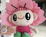 甘酢生姜寿司♪ 桜色がかわいいでしょう♪作り方6写真
