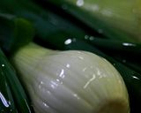そろそろ春の葉玉ロースト作り方7写真