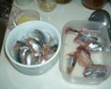 秋刀魚（サンマ）刺身丼作り方6写真