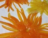 極細オレンジピールの花作り方10写真