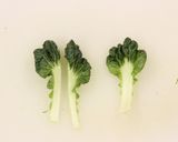 ターツァイと鶏ミンチの中華風サラダ作り方4写真
