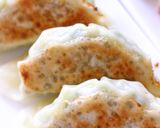 ヘルシー＆あっさり味✿野菜たっぷり餃子✿作り方19写真