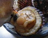 我が家の ほたての刺身作り方1写真