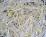 一風堂再現！香味ペースト使用もやしナムル作り方3写真