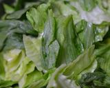 簡単なのに絶品みそだれ牛ぎゅう鉄板めし作り方3写真