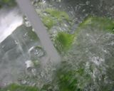 お手軽　万能トマトドレッシング作り方29写真