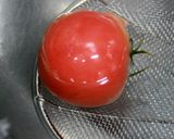 お手軽　万能トマトドレッシング作り方8写真