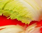 ✿香り箱の白菜ロール煮♬✿作り方1写真
