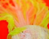 ✿香り箱の白菜ロール煮♬✿作り方7写真
