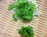 トマトと水菜の爽やか簡単ハンバーグ作り方9写真