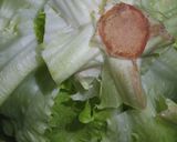 丸ごと1個食え！レタスとハムのクリーム煮作り方2写真