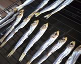 うるめいわし（丸干し）をさっぱりと☆作り方1写真