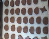 シンプルココアクッキー作り方9写真