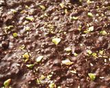 ★ピスタチオとアーモンドのチョコ★作り方6写真