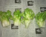 子持ち高菜のシーザーサラダ作り方1写真