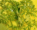 人参の葉っぱのかき揚げ（天ぷら）作り方3写真