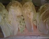 白菜のおひたししょうが風味作り方3写真