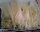 白菜のおひたししょうが風味作り方8写真