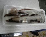 簡単、イカの丸ごと煮作り方1写真