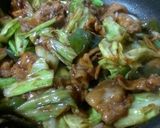 温泉たまごの回鍋肉トースト(´Д`)作り方6写真