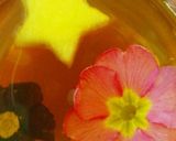 紅茶とりんごのゼリー作り方5写真